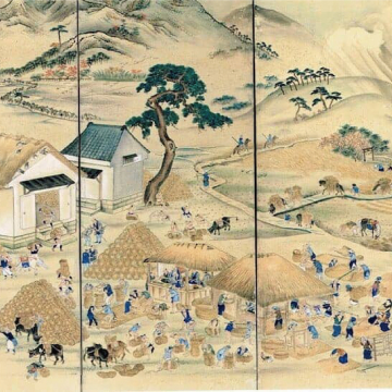 ご先祖が納めていた年貢（税額）