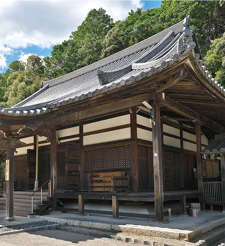 菩提寺調査