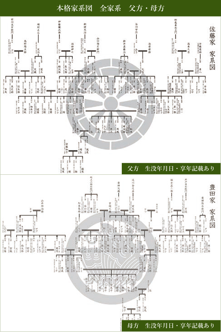 本格家系図 全家系 父方・母方