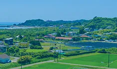家樹とは