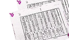 エントリープラン 戸籍調査