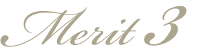Merit3