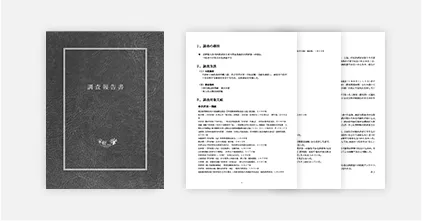 調査報告書