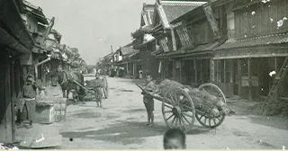 写真の色から撮影時期を分析