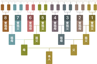 全家系